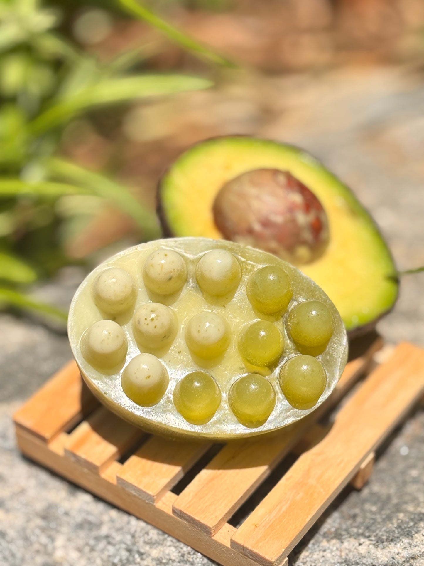 Avocado shampoo bar